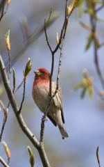 Johnna_060515_0140_1a.jpg 